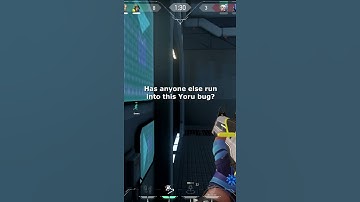 I found a new Yoru Bug 🦗
