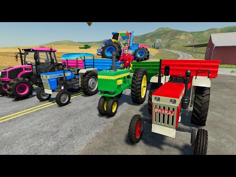 Best Colorful Wheat