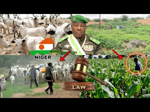 Niger Rigima Tayi Zafi 22 08 2025 