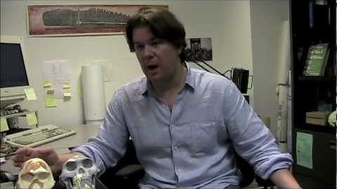 MicroScribe Instruction