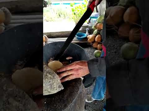 La manzana del