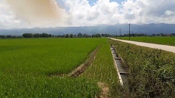 cánh đồng Mường Thanh