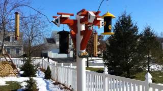 How I created a squirrel proof bird feeder pole out of PVC pipe and a treated 4x4. -~-~~-~~~-~~-~- Please watch: "Starring 