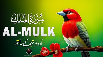 Surah Al Mulk with Urdu Translation | سورة الملك اردو ترجمہ کے ساتھ | Lofi Quran Sleep | EP-199