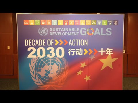 GLOBALink Group Of Friends Of Global Development Initiative Holds High Level Meeting