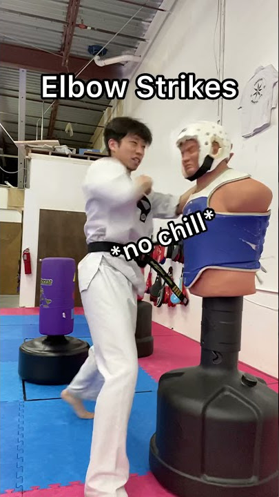 “Forgotten” Taekwondo Techniques