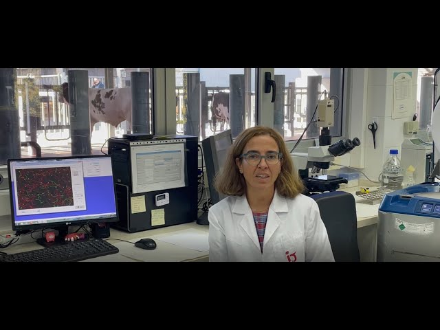 Carolina Tamargo - Investigadora en el área de selección y reproducción animal