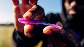 Finesse Fishing MISTAKES  3 Simple Baits To Use for A Dropshot