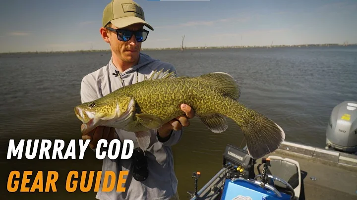 Murray Cod Fishing Gear Guide | Fishing Tips | Cod Fishing | Anaconda Stores