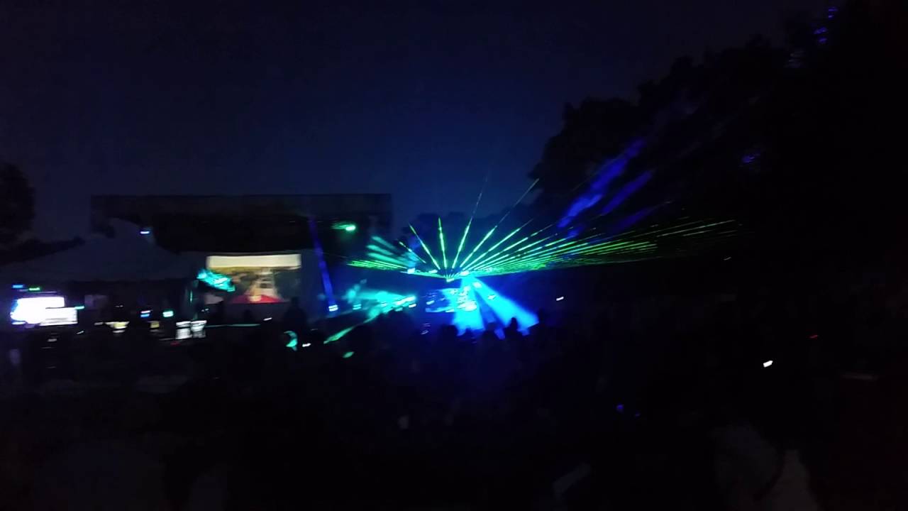 Brookfield zoo nights laser pointer with pretty colors YouTube