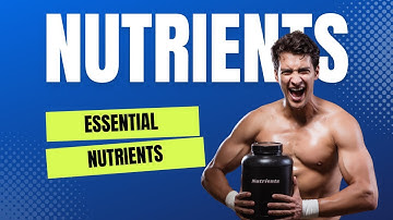 The 5 Essential Nutrients Your Body Needs for a Healthier diet | 5 Minute Wellness