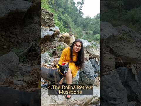 5 Pawfect Dog Friendly ResortsYou Should Visit with Your Dog near Delhi #travel #travelingwithdogs