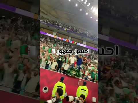 تفاعل الجمهور الجزائري روعة كأس العرب بقطر