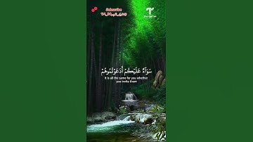القرآن الكريم #قرآن #ياسر_الدوسري #قران_كريم #راحة_نفسية #عمر_بن_ضياء_الدين #حالات_واتس #اكسبلور