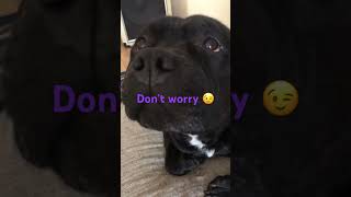 Every Little Things Gonna Be Alright