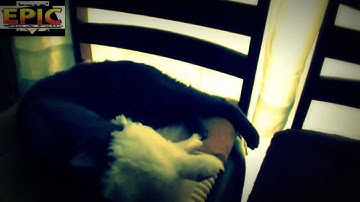 The Ultimate Epic Fail and Win Compilation 2014 PART 4