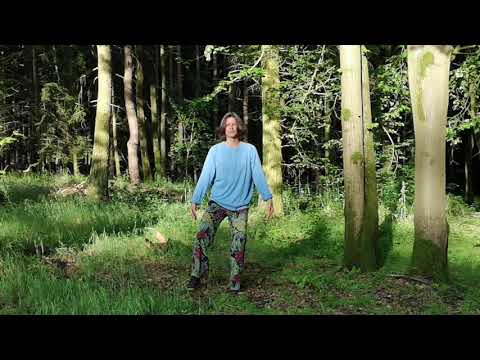 QIGONG WOOD ELEMENT