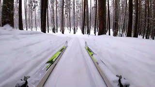 Лыжная тропа. Солнце и снег. Заснеженный лес. Одиночный поход на лыжах.