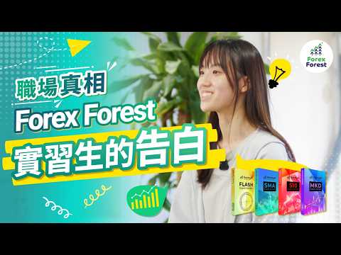 想喺 AI 時代幫職涯增值？Forex Forest 實習生真心話大公開！點樣喺融洽團隊，學到價值百萬嘅 AI Algo Trading 硬實力？ #量化交易 #程式交易 #自動程式交易 #職場