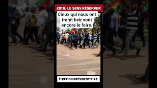 Les Hirondelle Politique Veulent Faire Sensation