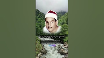 خشوع وإحساس لا مثيل له للقارئ الشيخ حمدي الزامل