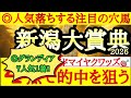 【新潟大賞典2026】最終予想！！◎は前走ワケあり敗戦で今回展開向きそうなあの穴馬から一発狙う！