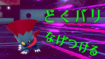 マニューラ剣盾