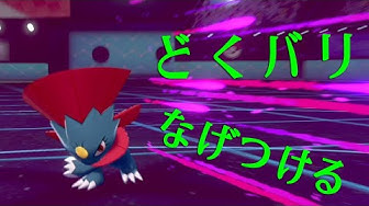 マニューラ Youtube