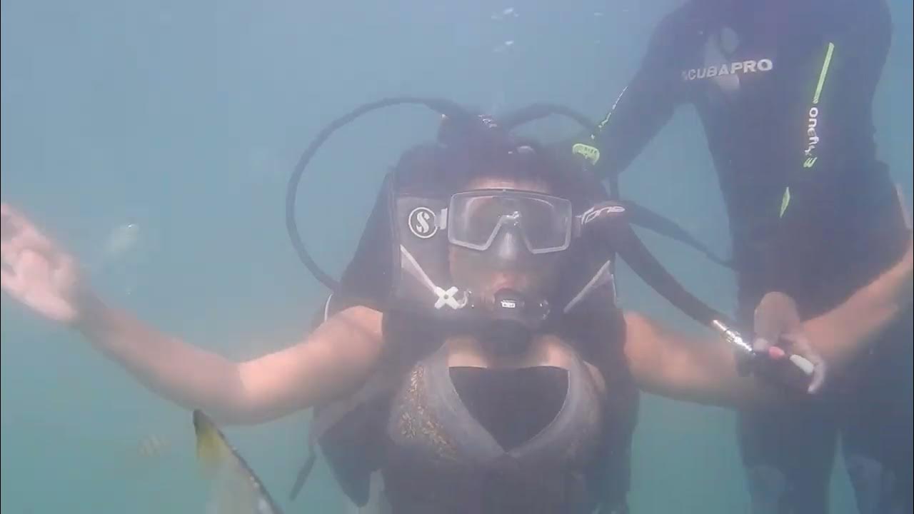 scuba diving in goa baga beach for non swimmers scubagirl scubadivingingoa 