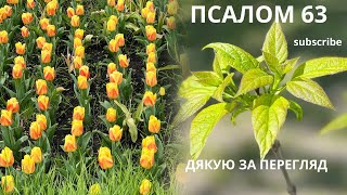 Псалом 63#youtube #new #віра #молитва#псалтирь #псалом #новинка #біблія #subscribe