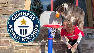 This dog is a slam dunk champion! | Guinness World Records