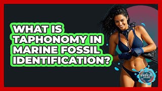 What Is Taphonomy In Marine Fossil Identification? - The Marine Life Explorer