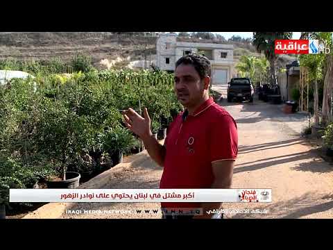 فنجان الصباح اكبر مشتل في لبنان يحتوي على نوادر الزهور