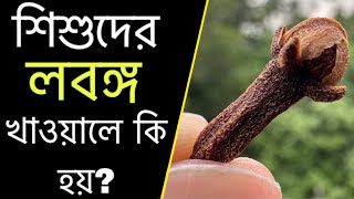 American Pie toyidagi porno aktrisa