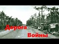 Коп по войне! Немецкая дорога войны.Коп в Восточной Пруссии.