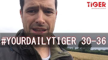 Alternatives To Pivot Tables In Excel? #YourDailyTiger 30-36