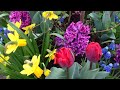 ТОП 9 Цветочных ароматов|| Нежные духи на весну 🌹