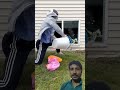 #funny #prank #comedy #family #dog #basketball #ad #challenge #memes #baseball