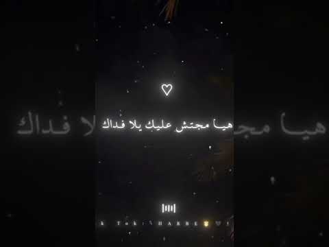 جورج وسوف  هيا مجتش عليك يلا فداك اكسبلور طرب