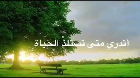 أنشودة القارئ محمد صالح اليمني 2019☺