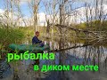 Рыбалка в диких местах.