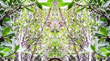 Bones & Drip- 133  - UnlessImWrong