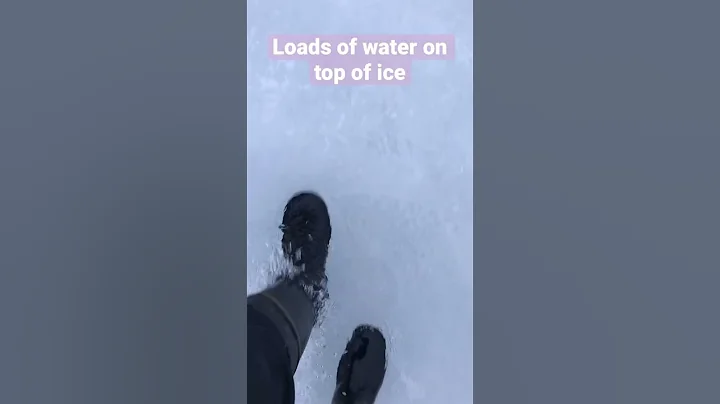 Ice swimming and gym update! It is all melting 🧊🫠 #shorts #ice #arctic