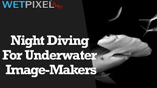 Night Diving Guide for Underwater Image Makers