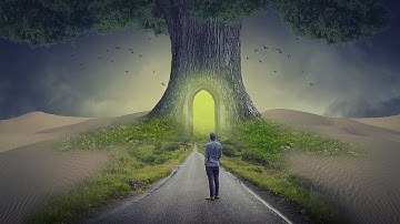 Big Tree Photo Manipulation | photoshop tutorial cc