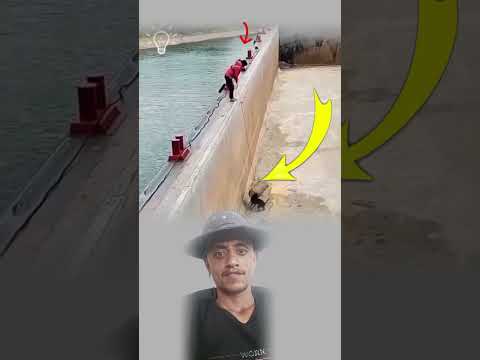 الوفي لا ي ترك حتى لو كان كلب ا هكذا يتحدث القلب الرحيم ابلور لايك 