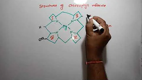 Chlorophyll Molecule Structure