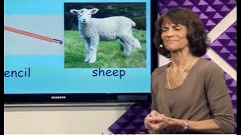 Lesson 8- Discover English - Elementary School Part 1 - ESL