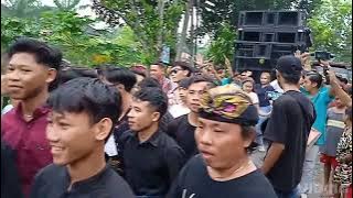 Lambada Bohay Live di desa Kuripan Iting Lagu sasak Pengantenan
