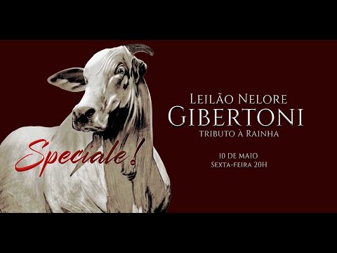 Lote 21   Michaela FIV VRI Vila Real   VRI 3121 zap 1